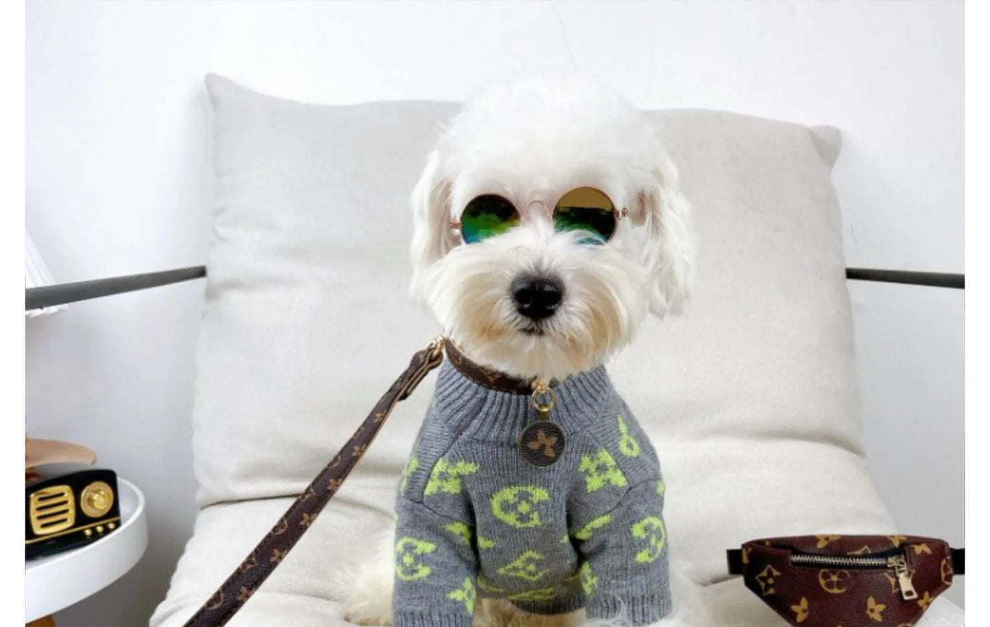 Designer dog collars and leads