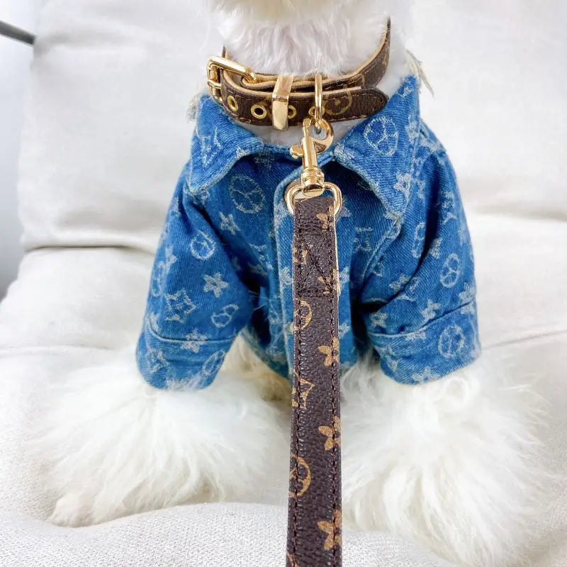 Designer dog collars and leads