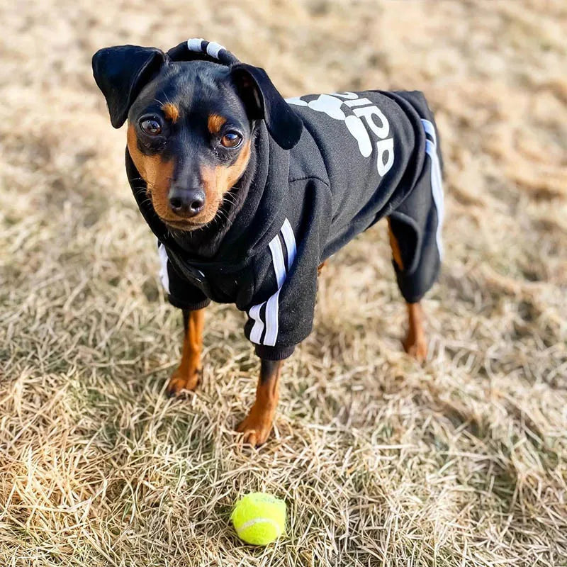 Adidog Jumpsuit