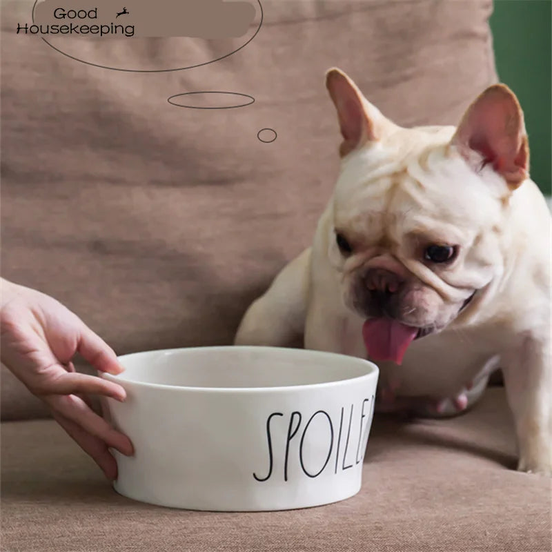 Spoiled Food and Water Bowl