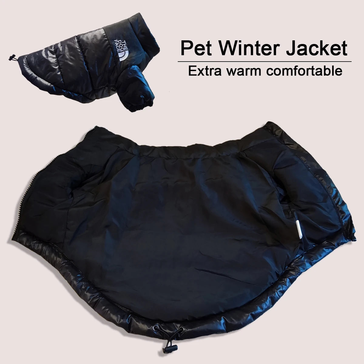 The Dog Face windbreaker jacket