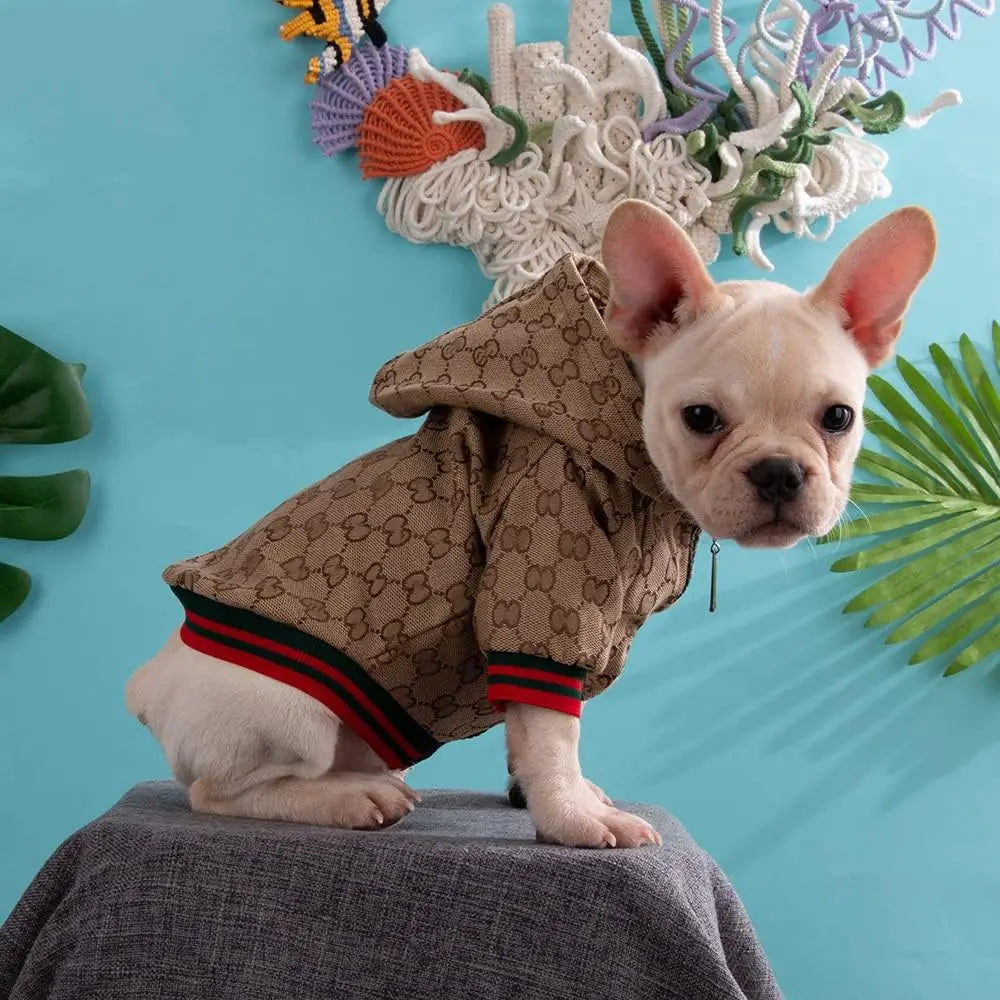 Luxury Designer Dog Zipper Jacket