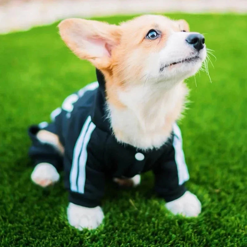 Adidog Jumpsuit