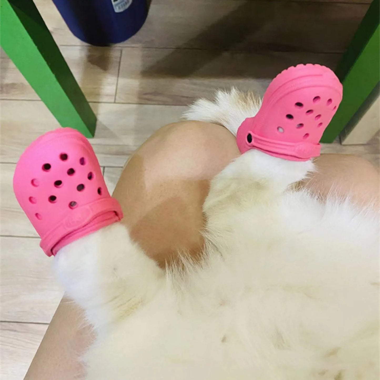 Pet Shoes