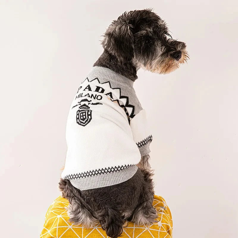 Designer knitted dog jumper