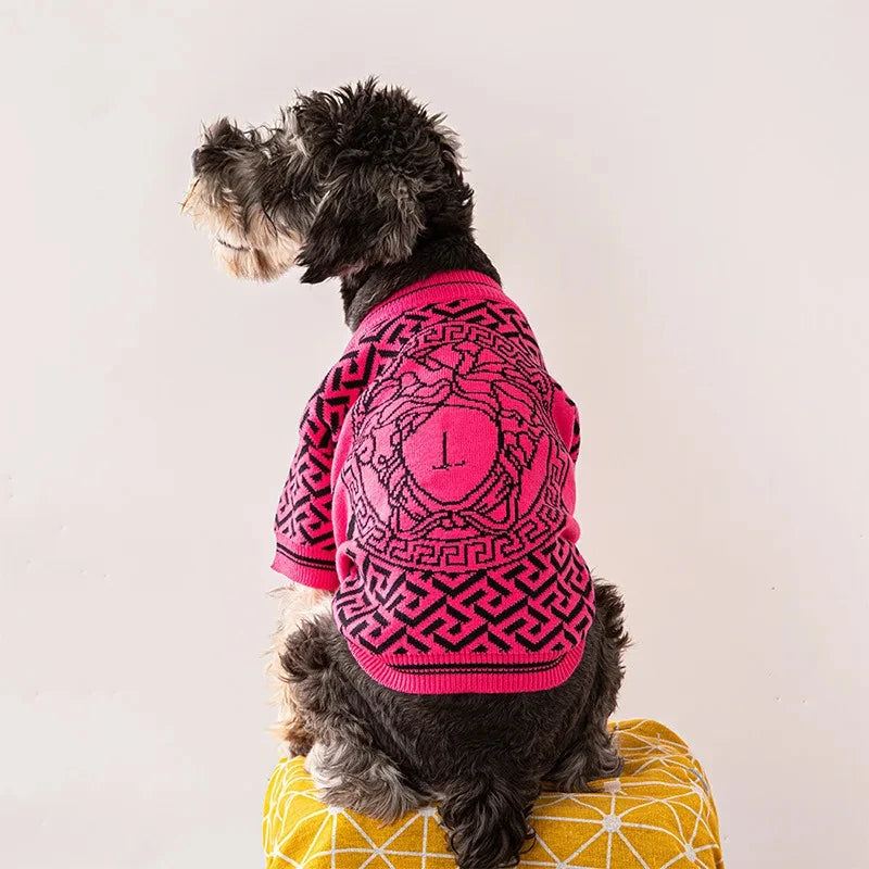 Designer knitted dog jumper