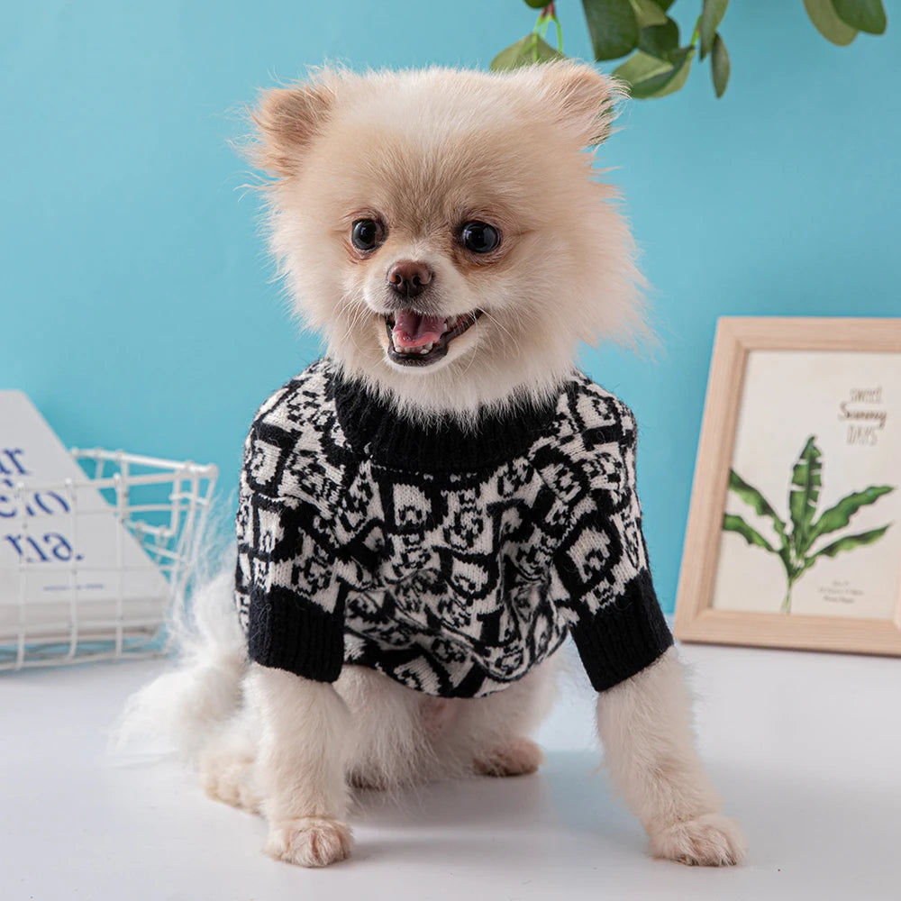 Designer dog jacket/coat