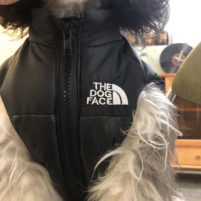 The Dog Face jacket