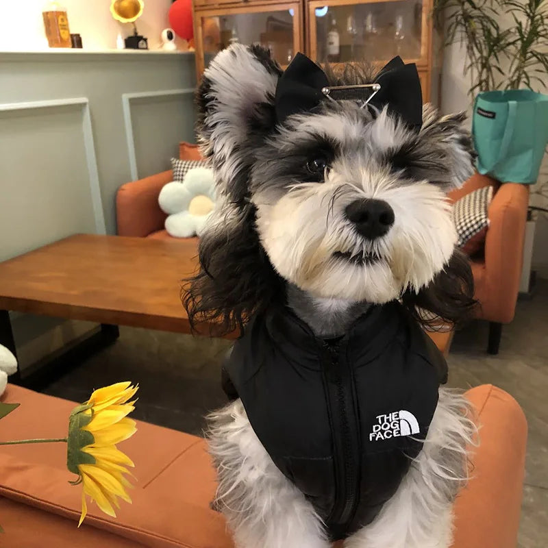 The Dog Face jacket