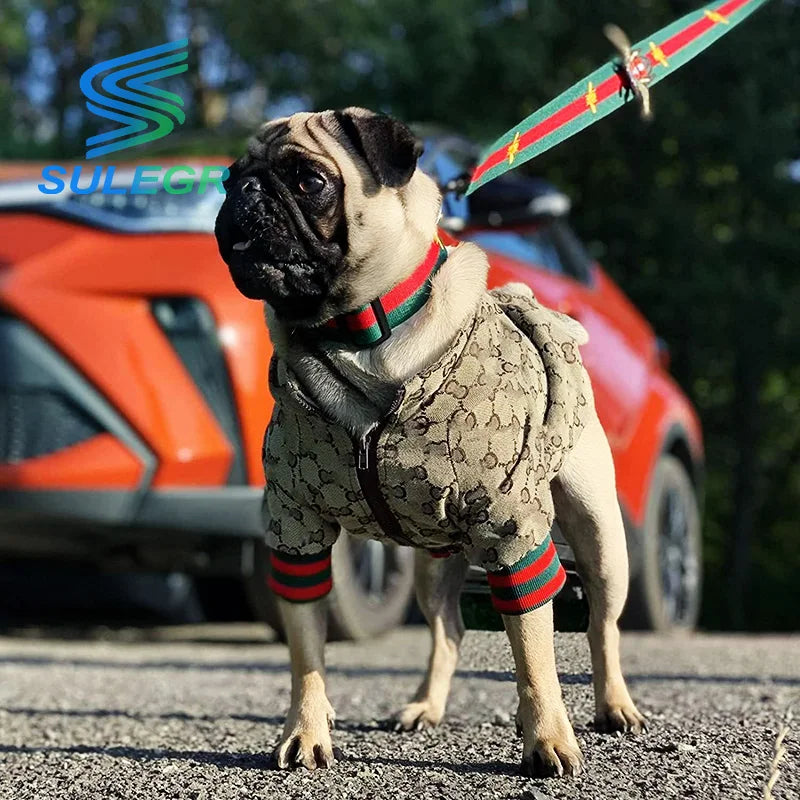 Luxury Designer Dog Zipper Jacket