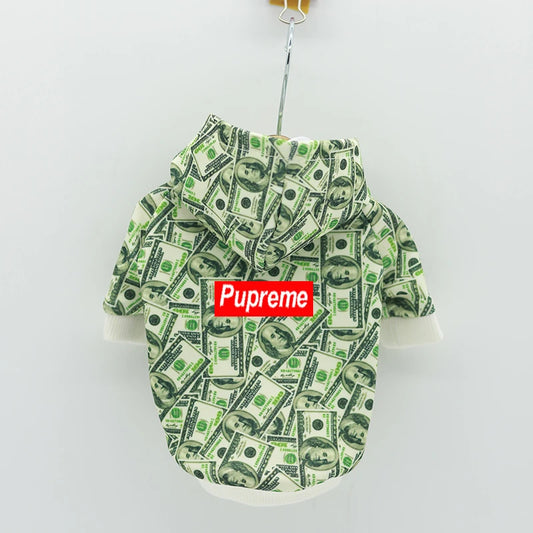 Luxury Designer Cash Dollar Print Hoodie