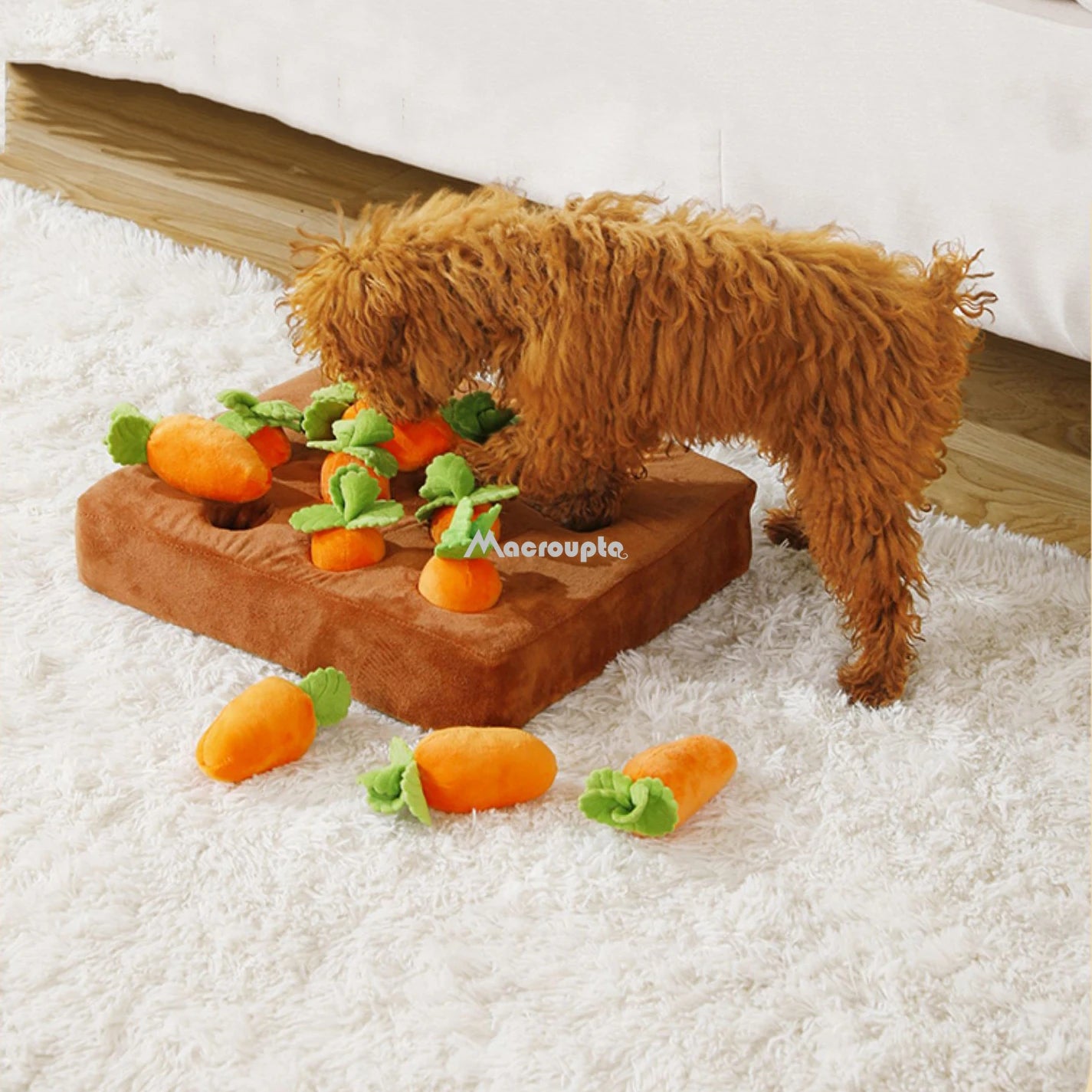 Dog Carrot Interactive Plush toy Dog