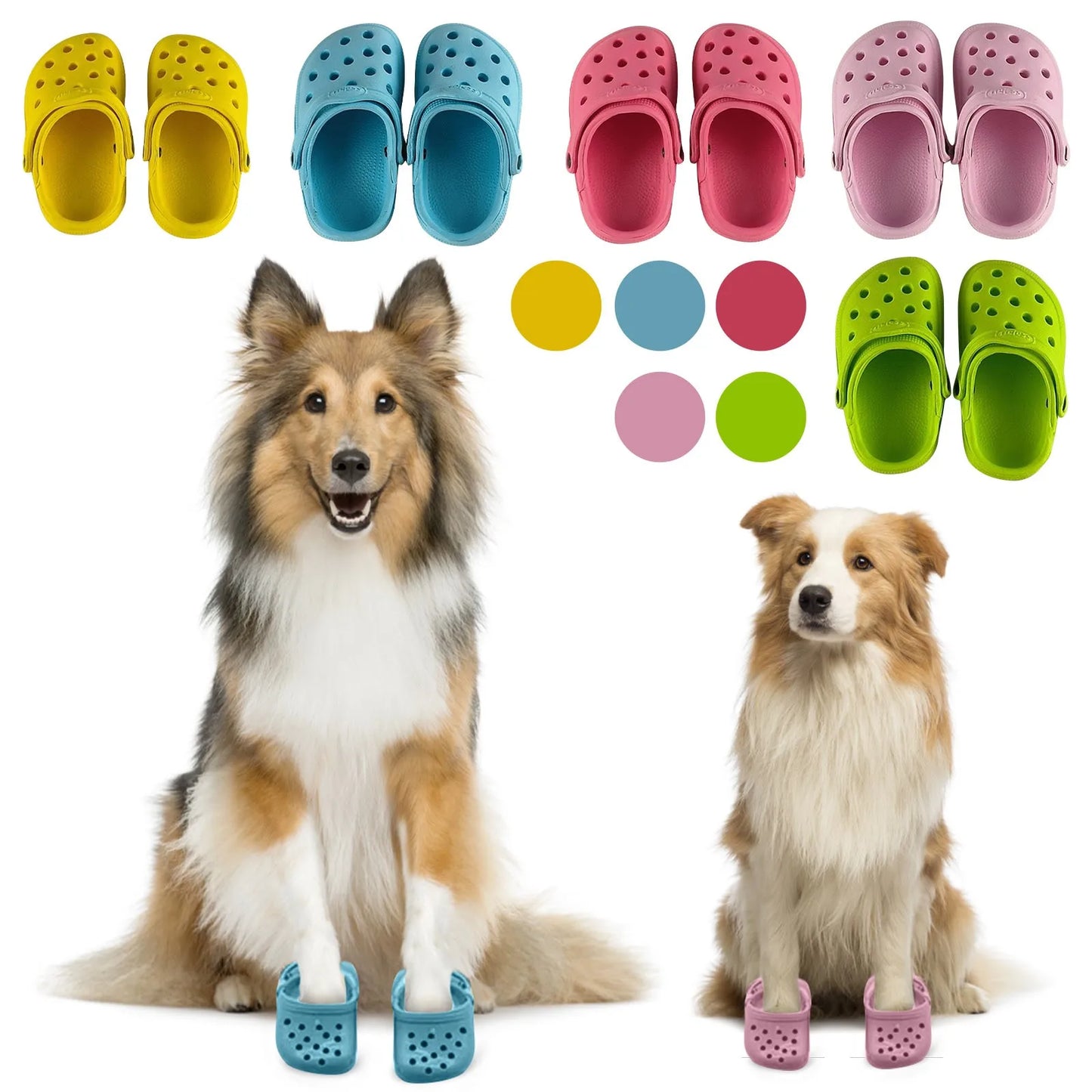 Pet Shoes
