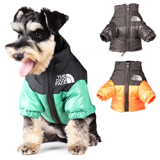 The Dog Face windbreaker jacket